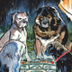 Illustration for article titled Beasts Of Burden returns for a new horror adventure in this exclusive preview